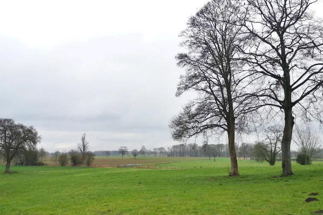 Together Homes - Manor Chase