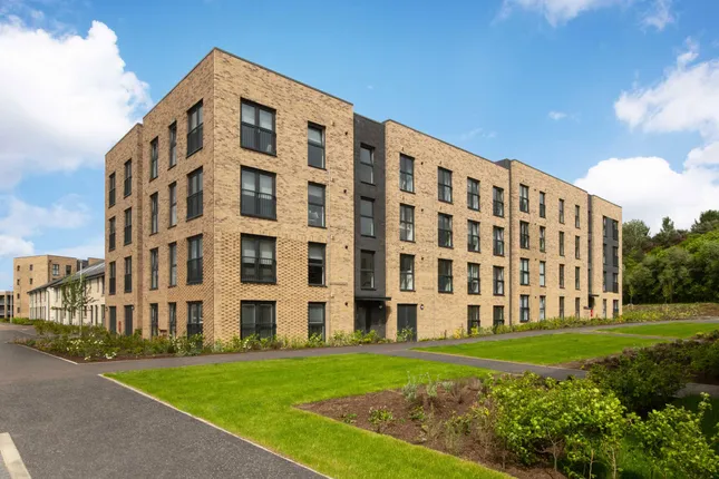 David Wilson Homes - Cammo Meadows Apartments