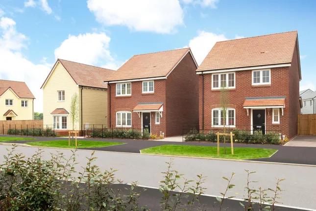 Bellway - Ivy Hill