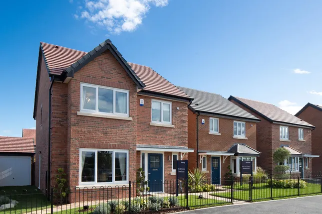 Bellway - Jellicoe Gardens