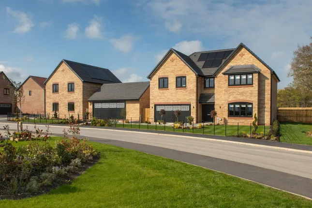 Bellway - Regency Manor