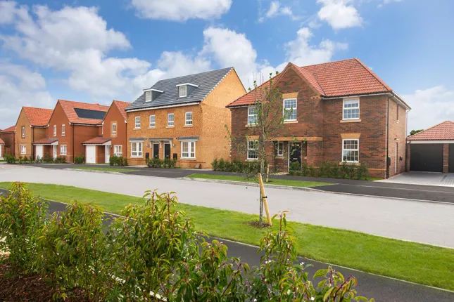 David Wilson Homes - Hawk View