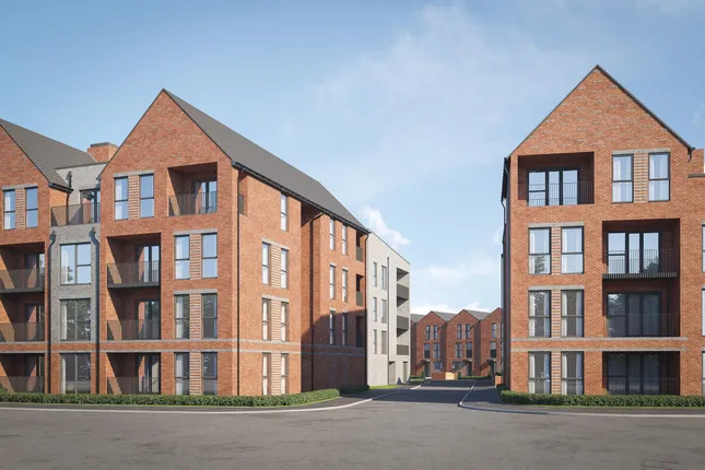 Bellway - Carter's Court
