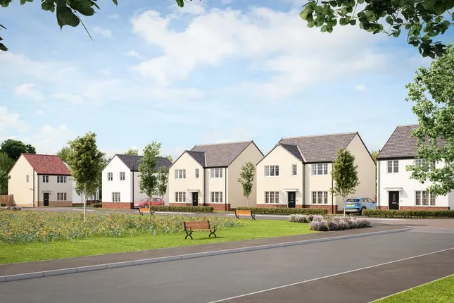 Avant Homes - Thistle Meadows