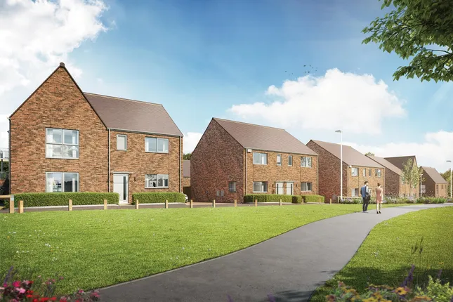 Bellway - Roe Wood Park