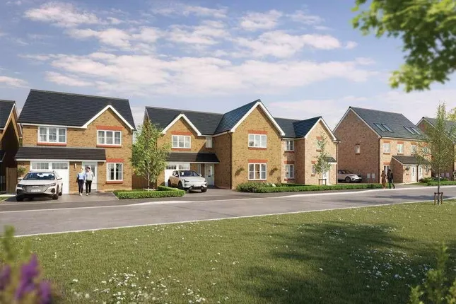 Wain Homes - The Lawns