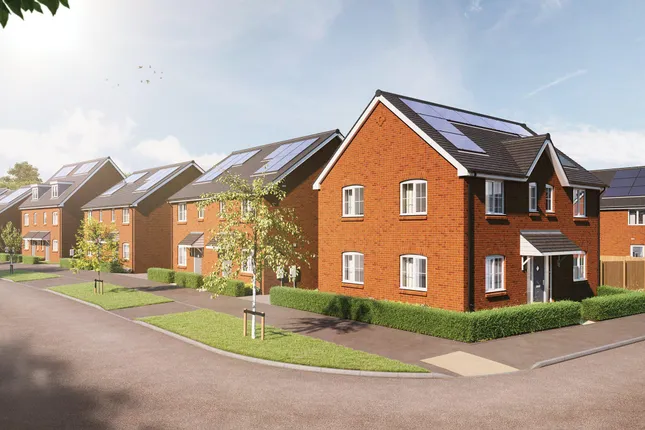Bellway - Blackthorn Walk