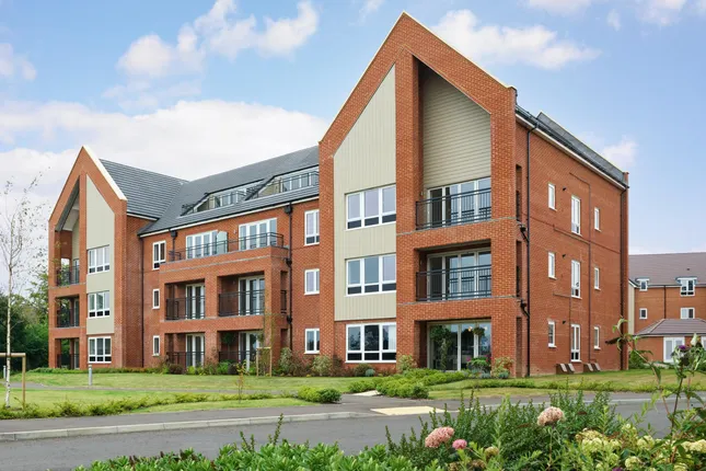 Bellway - Seaford Grange