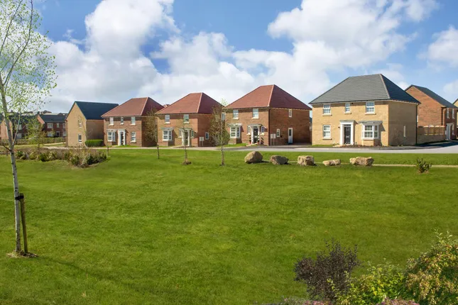 David Wilson Homes - Meadow Hill