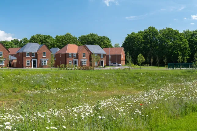 David Wilson Homes - Ersham Park
