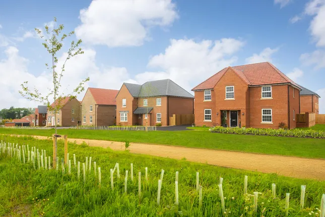 David Wilson Homes - Doxford Green