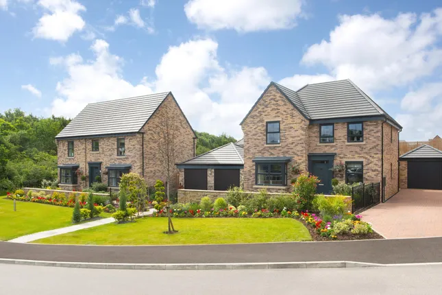 David Wilson Homes - Bluebell Meadows