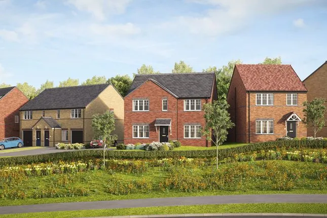Avant Homes - Pavilion Acres