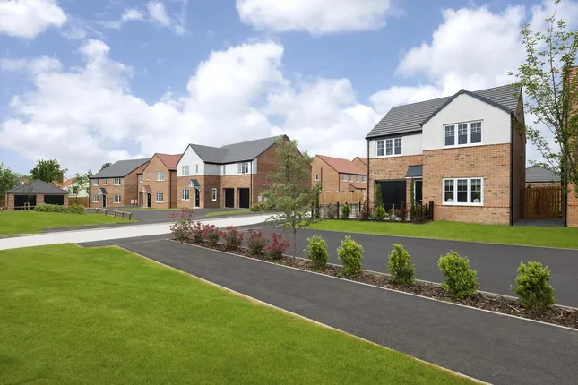 Avant Homes - Greensward Point