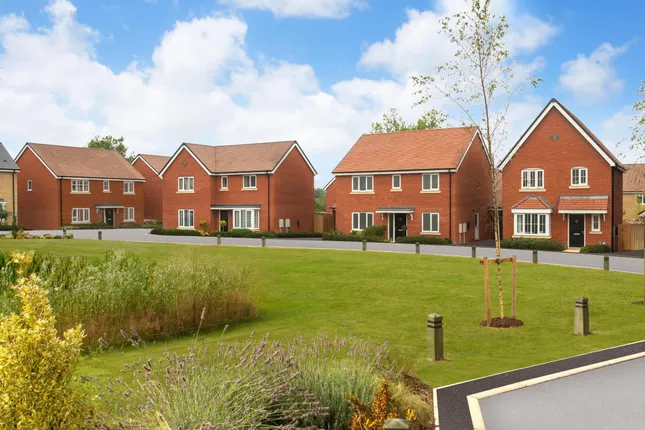 Bellway - Hatfield Grove