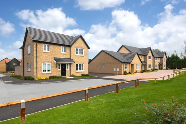 Bellway - Whitehill Gardens