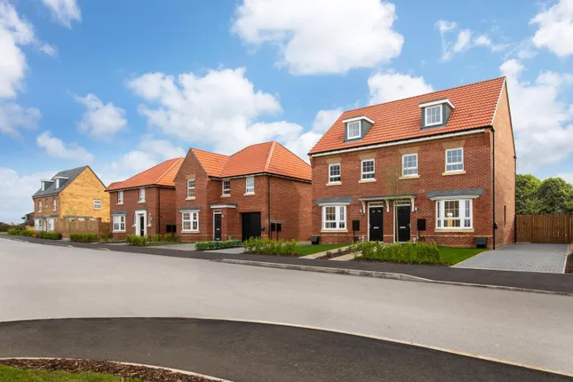 David Wilson Homes - High Forest