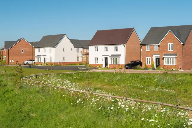 David Wilson Homes - Ryebank Gate