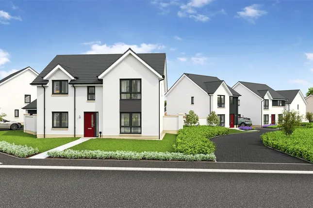 Tulloch Homes Ltd - The Maples