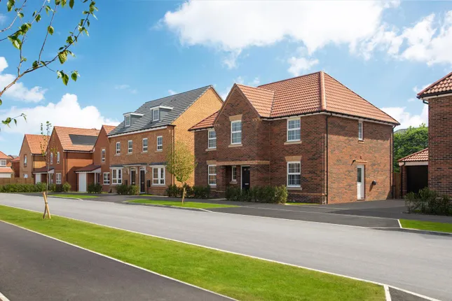 David Wilson Homes - Hawk View