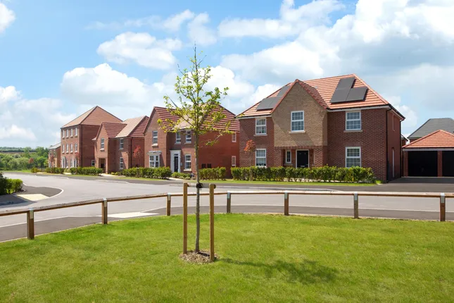 David Wilson Homes - Elm Tree Park