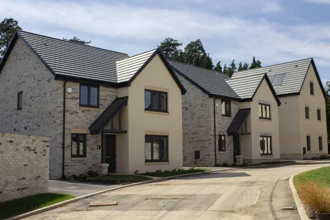 Wain Homes - Cherry Blossom View