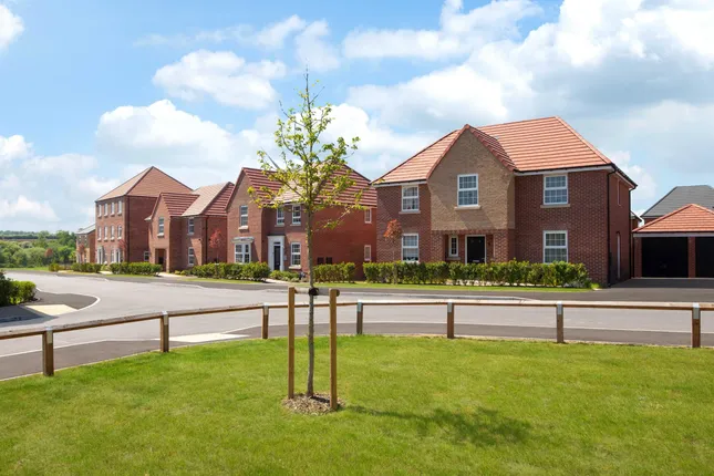 David Wilson Homes - Elm Tree Park