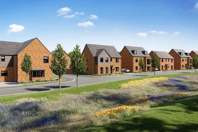 Tilia Homes - Verdant Rise