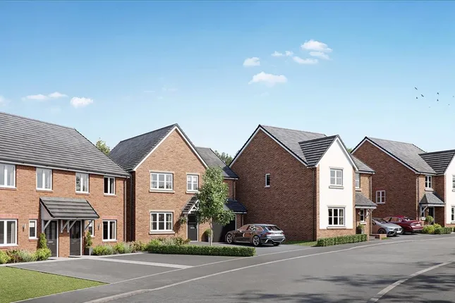 Tilia Homes - Saints View