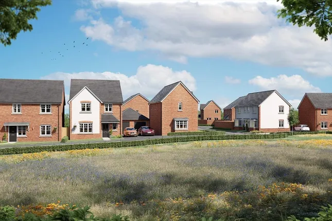 Tilia Homes - Montgomery Place