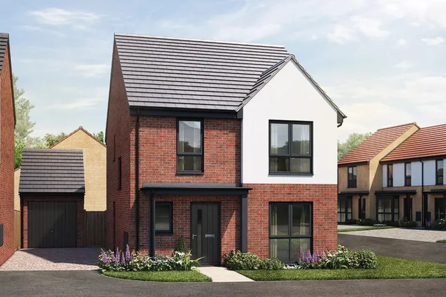 Tilia Homes - The Paddocks