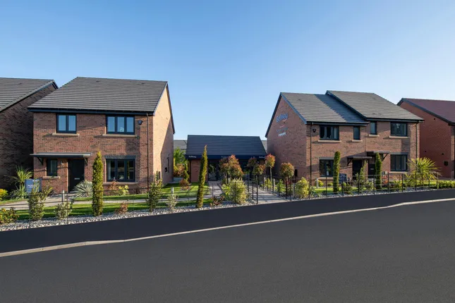 Bellway - Western Grange