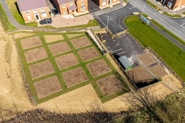 David Wilson Homes - Donnington Heights