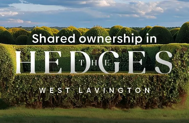 The Hedges