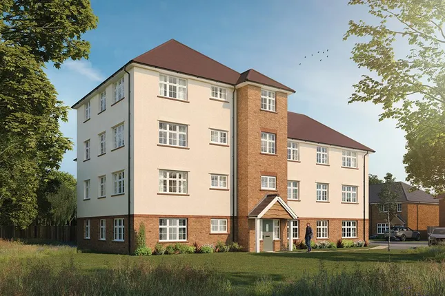 Redrow Midlands - Midsummer Meadow
