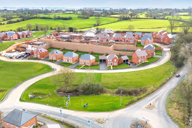 David Wilson Homes - Olive Park