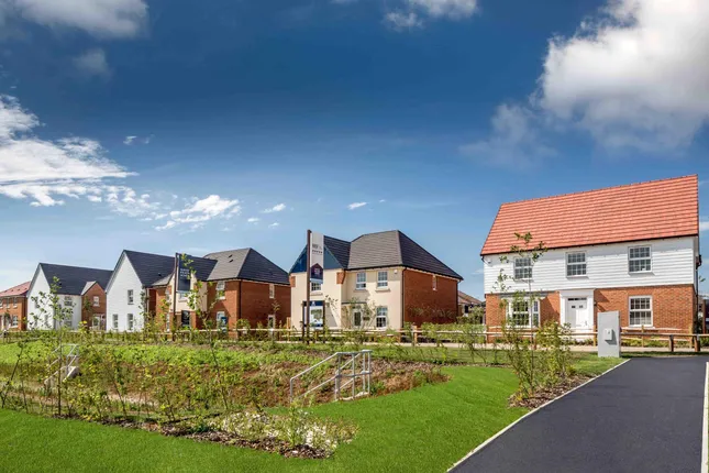 David Wilson Homes - Sholden Meadows