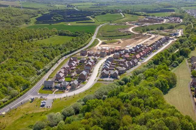 David Wilson Homes - Bluebell Meadows