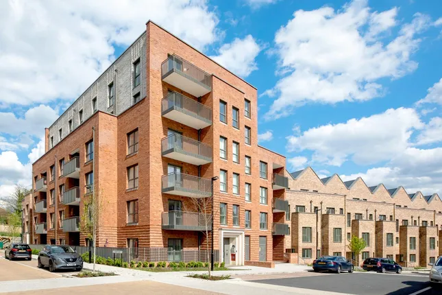 Newlon Living - Cassia