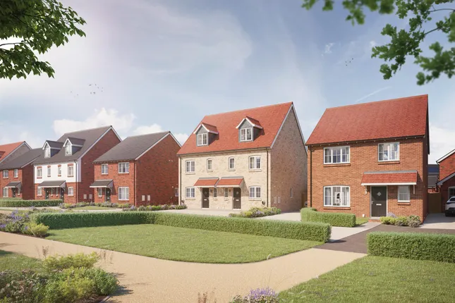 Ashberry Homes - Daedalus Park at Handley Chase