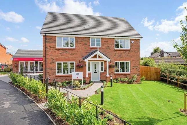 Wain Homes - Cardwell Park
