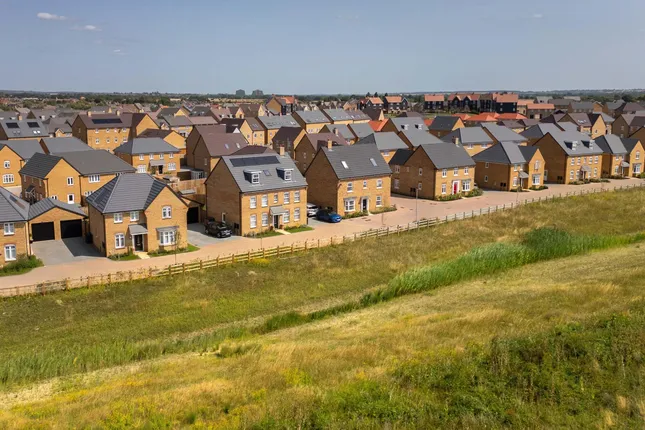 David Wilson Homes - Willow Grove