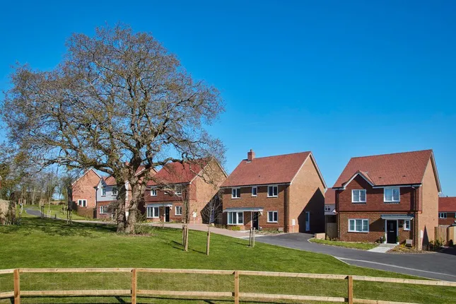 Linden Homes - Ashdown Gardens