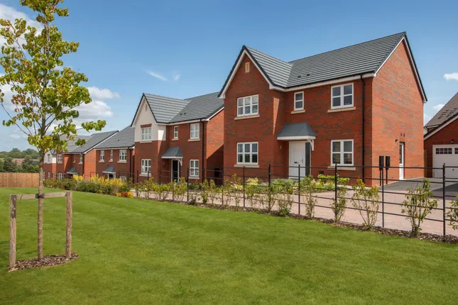 Bellway - Darwin's Edge