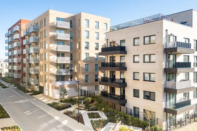 Countryside - Feature17