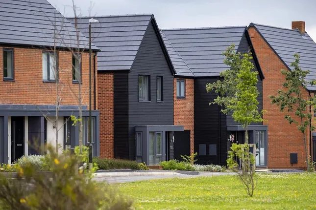 Tilia Homes - The Avenue