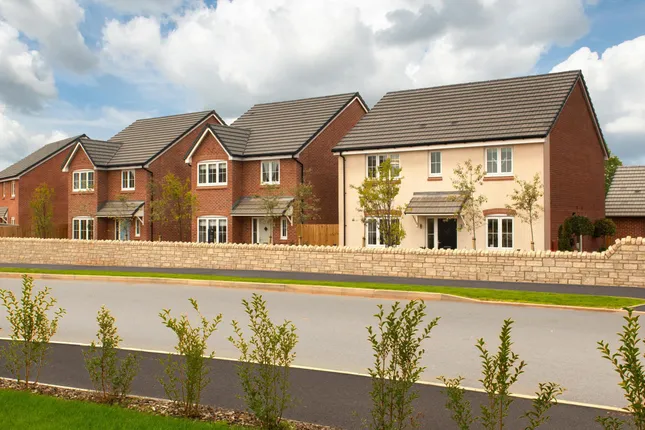 Bellway - Forest Walk