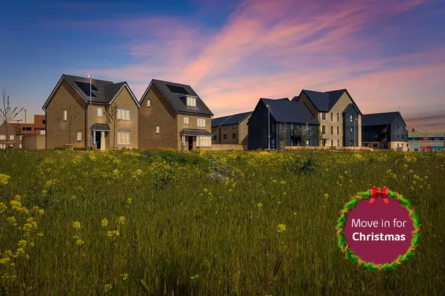 Linden Homes - Haddon Green