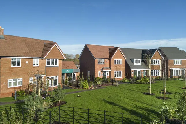 Countryside - Dracan Village