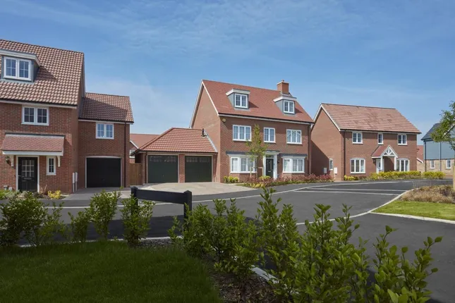 Countryside - St Michael's Hurst